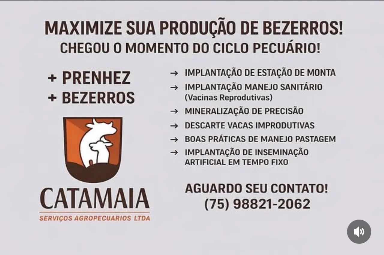Serviço em Reprodução Bovina .