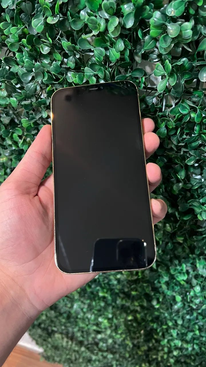 iPhone 12 Pro Max 128GB - Foto 2