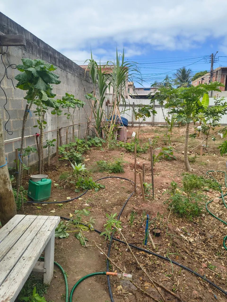 Terreno, vale encantado  - Foto 4