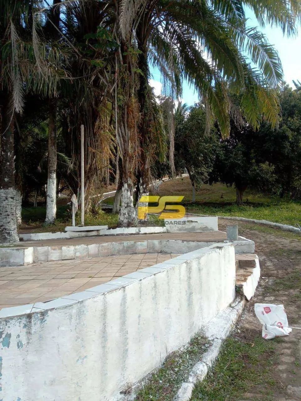 Granja para Locação - Foto 5