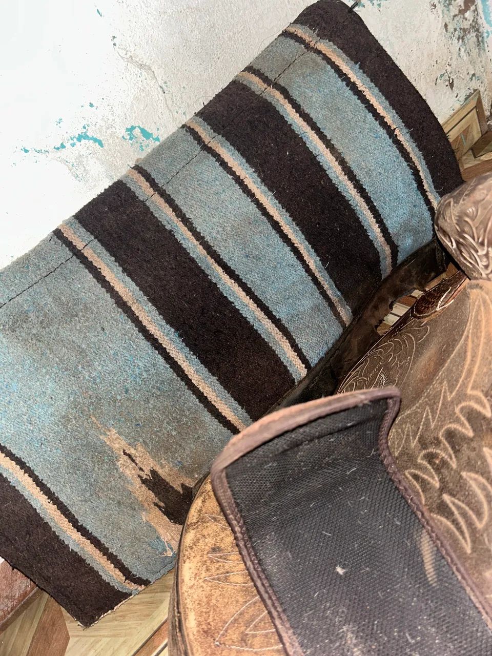 Sela quarto de milha  - Foto 3