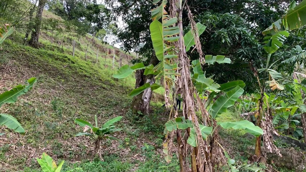 Belíssimo Sítio em Bicuda Grande - Macaé/RJ - Foto 2
