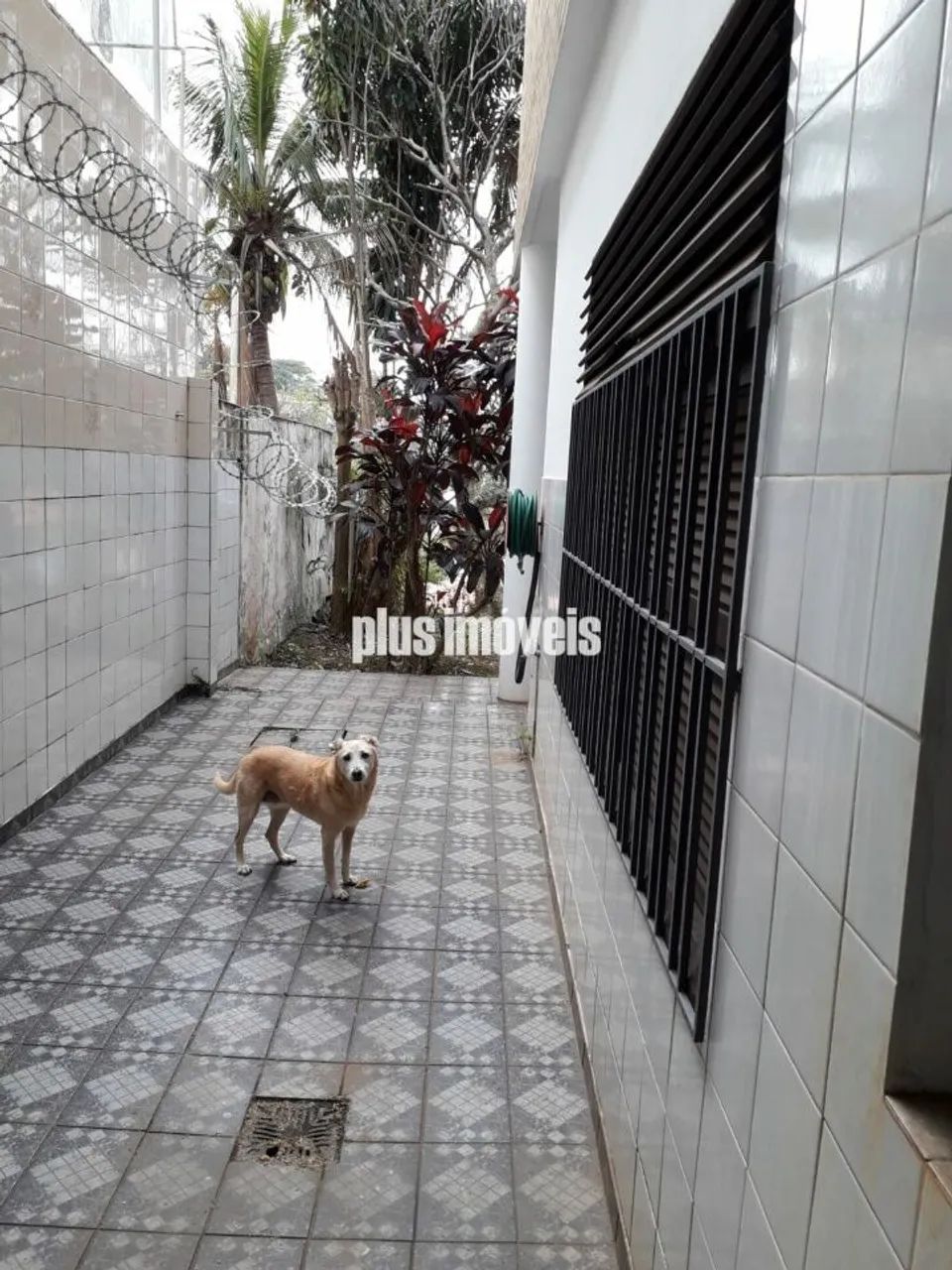 OPORTUNIDADE . - Foto 5