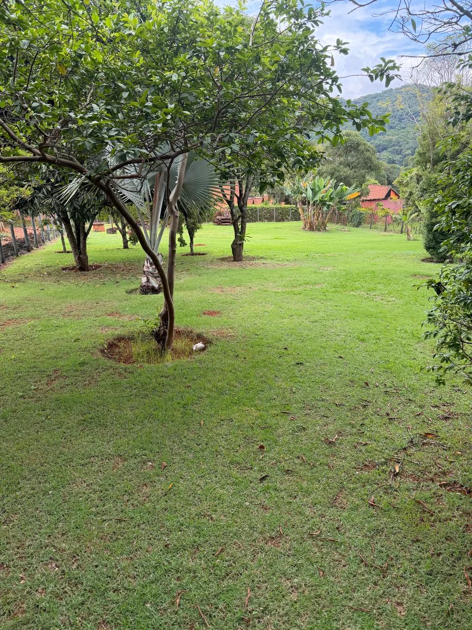 Foto - Belo Horizonte - Santo André