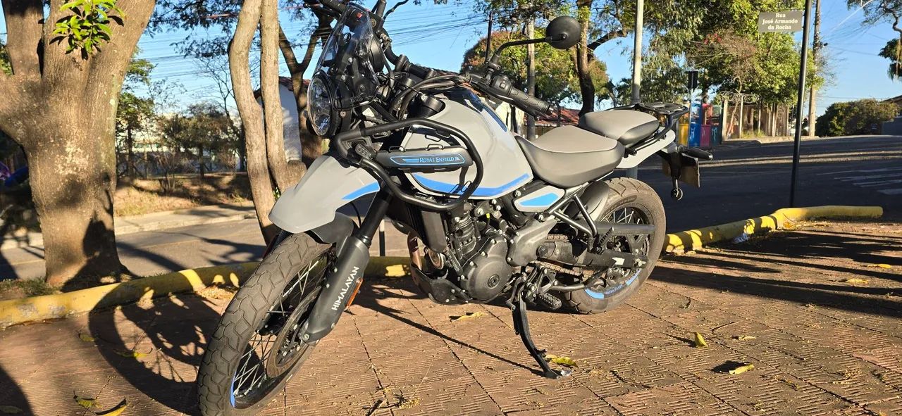 Himalayan de procedência,  para pessoa exigentes  - Foto 2