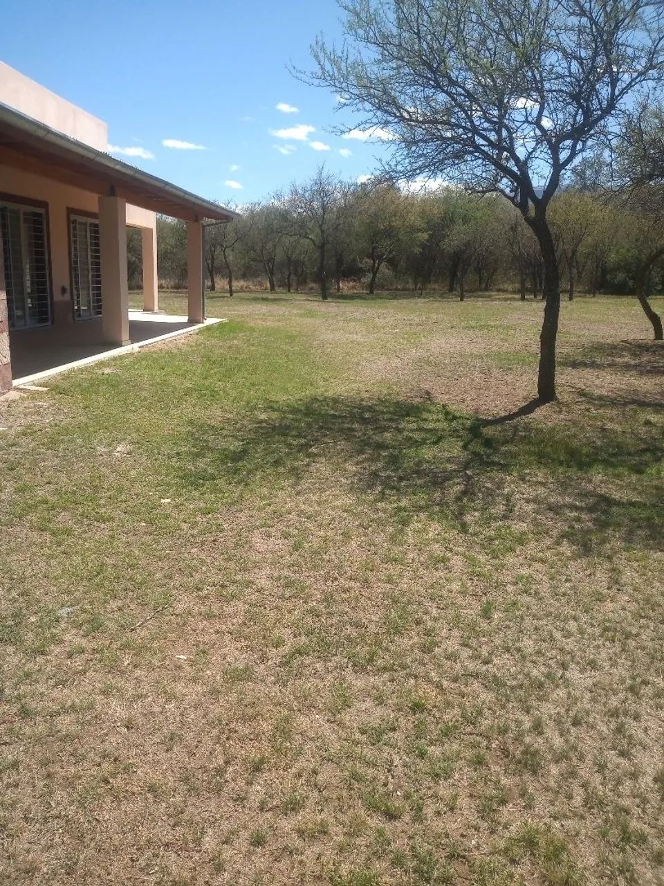 Limpeza e poda do terreno! - Foto 5
