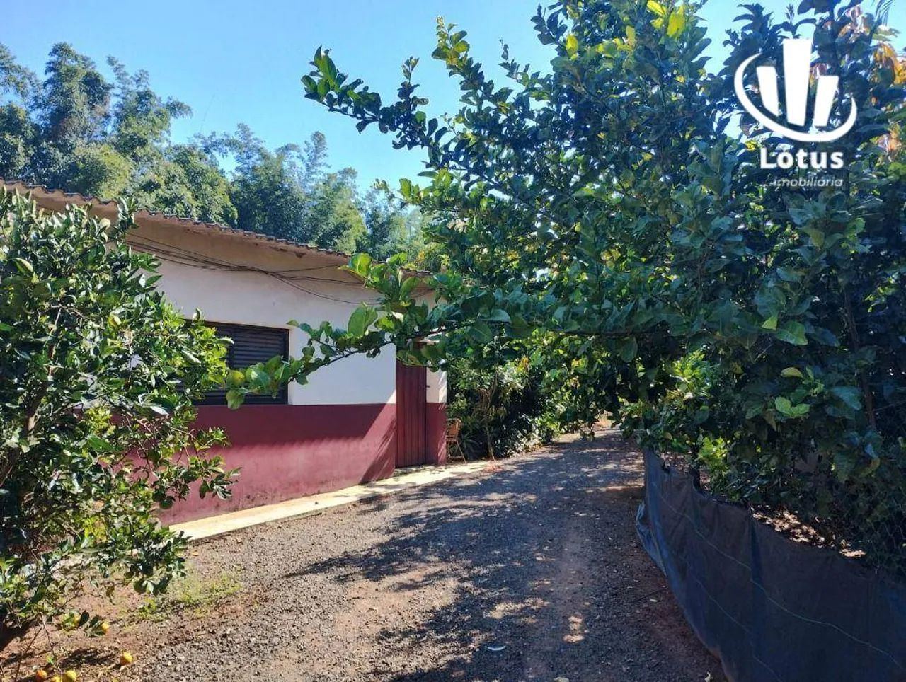 Chácara à venda, 1000 m² - Chacara - Artur Nogueira/SP - Foto 6