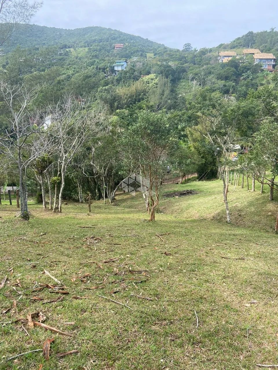 Terreno a venda em Garopaba na Praia da Ferrugem - Foto 5