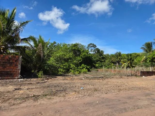 TERRENO 20X40M EM MASSARANDUBA  - Foto 3