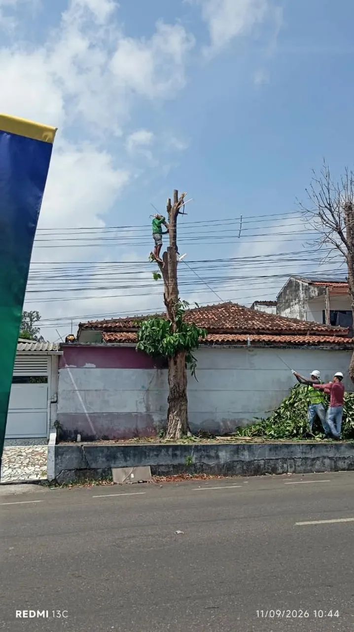 Roçagem & apoda - Foto 2