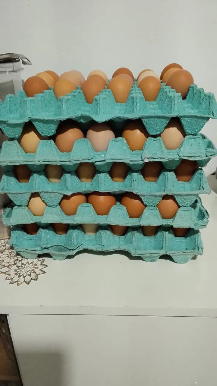 ovos  - Foto 3
