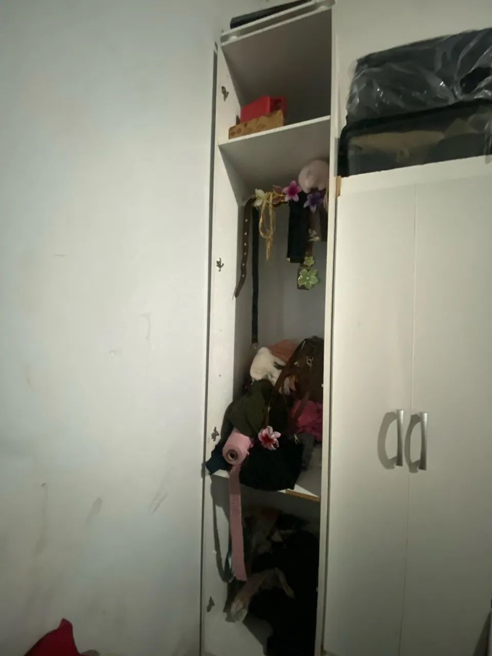 Guarda roupa - Foto 5