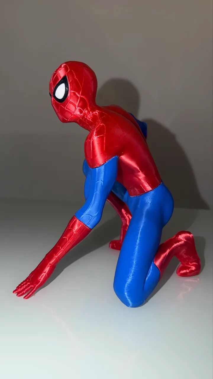 Homem Aranha em 3D - Foto 4