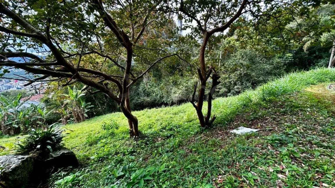 Terreno para Venda em Florianópolis, Trindade - Foto 5