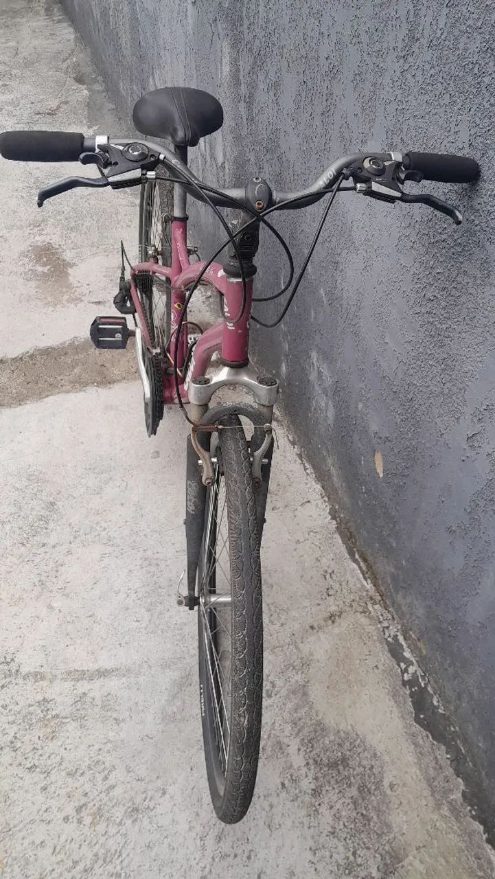Bicicleta calloi  - Foto 2