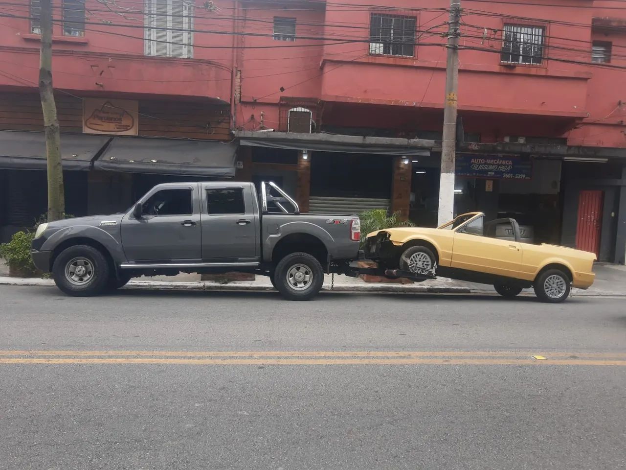 Guincho asa - Foto 4