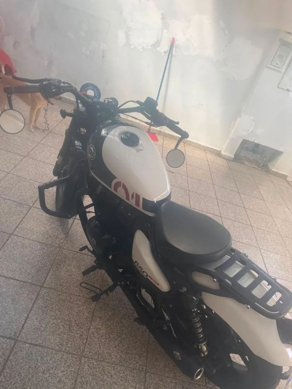 Shotgun 650 - Foto 3