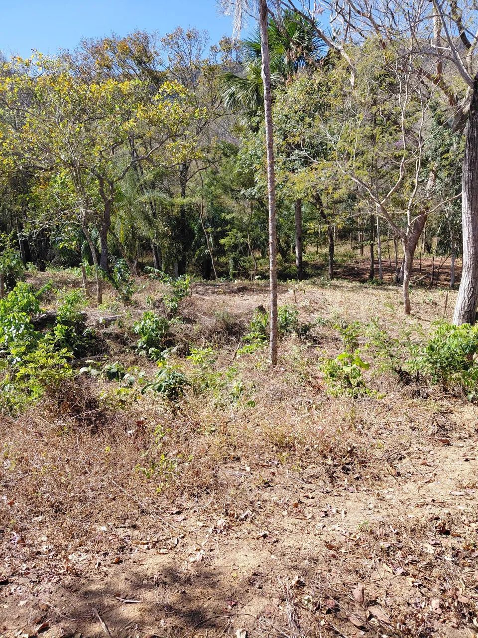 Área escriturada, com compra e venda  - Foto 4