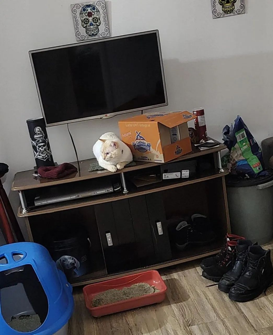 Rack pra Sala 