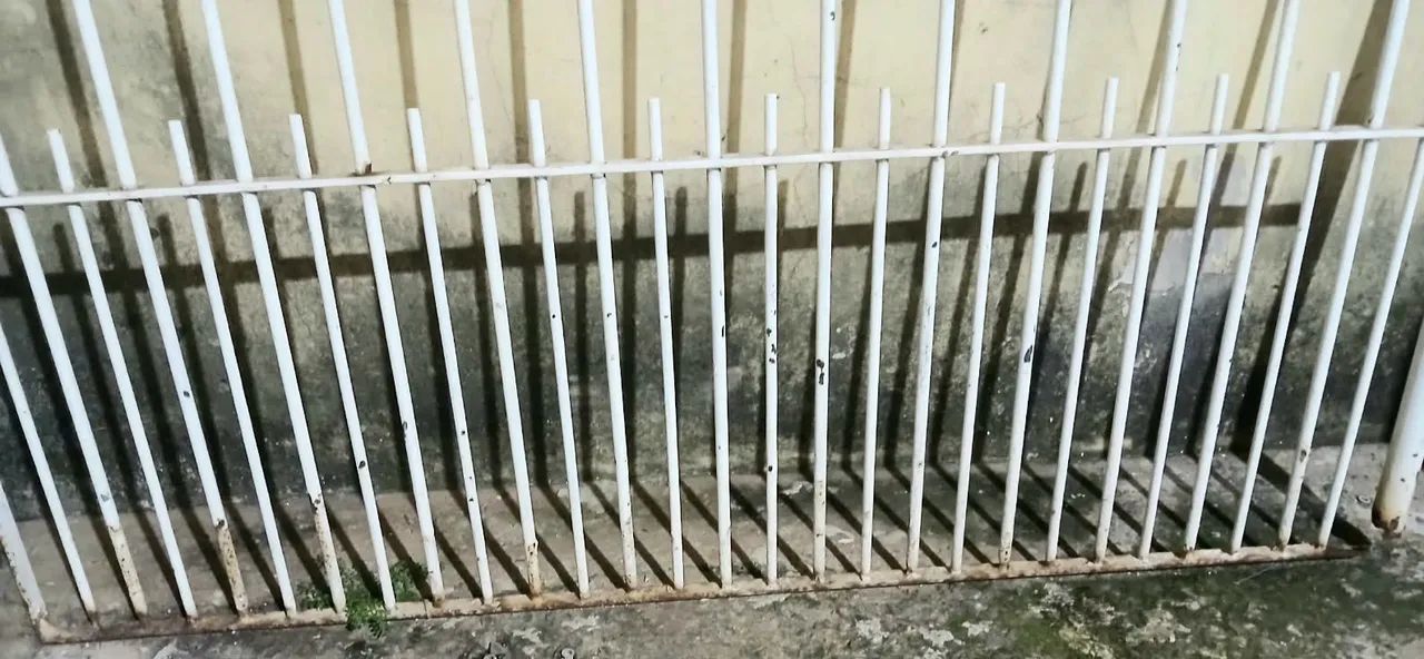 Portão social  - Foto 2