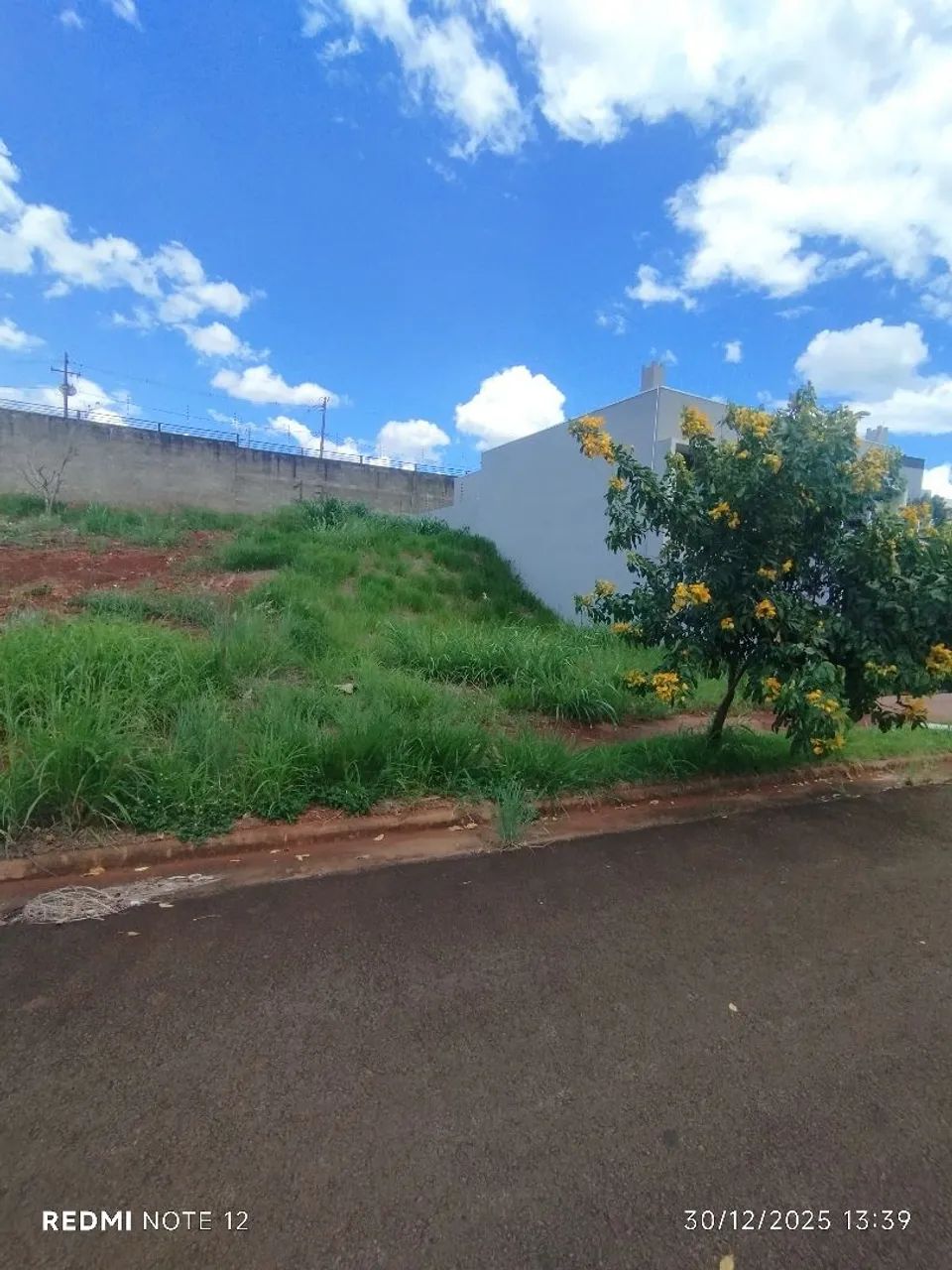 JARDINAGEM  - Foto 5