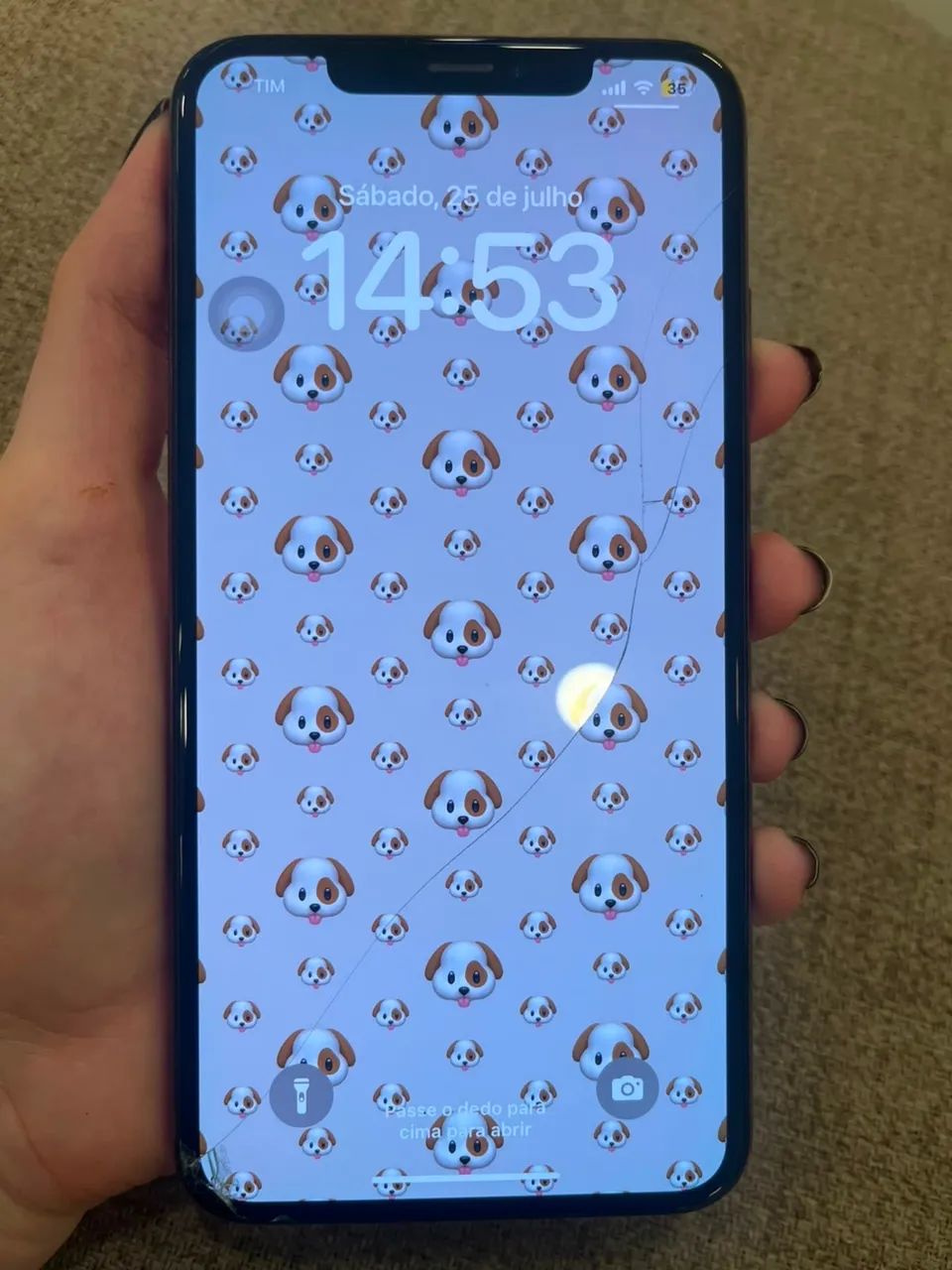 iPhone XS Max