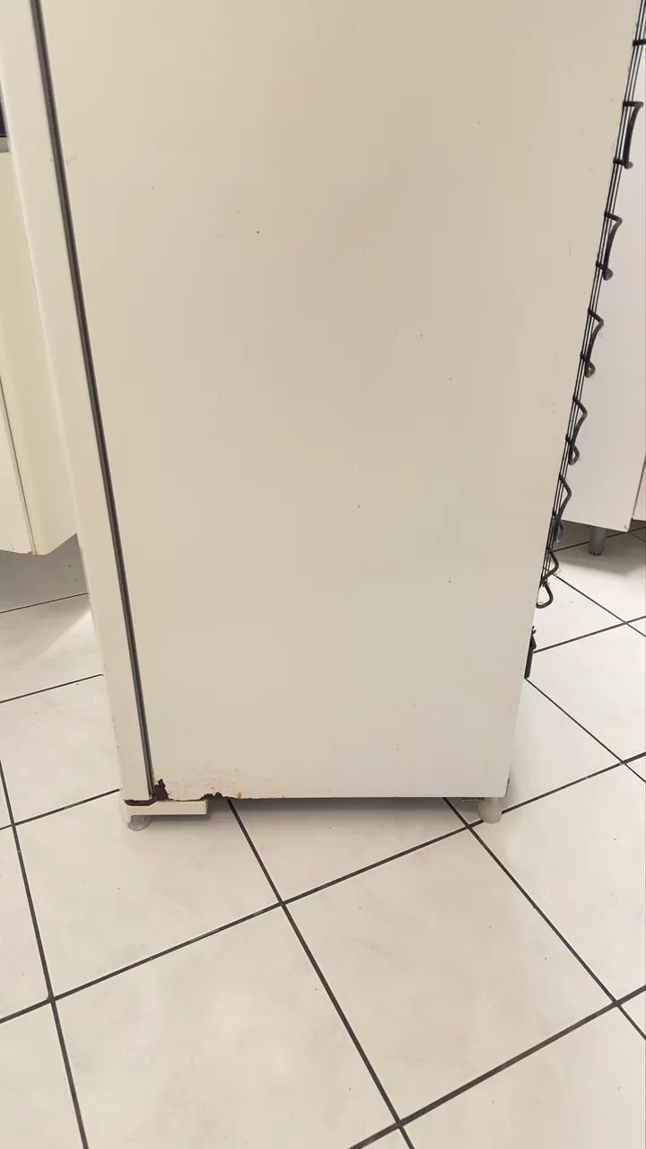 Geladeira Electrolux  - Foto 4
