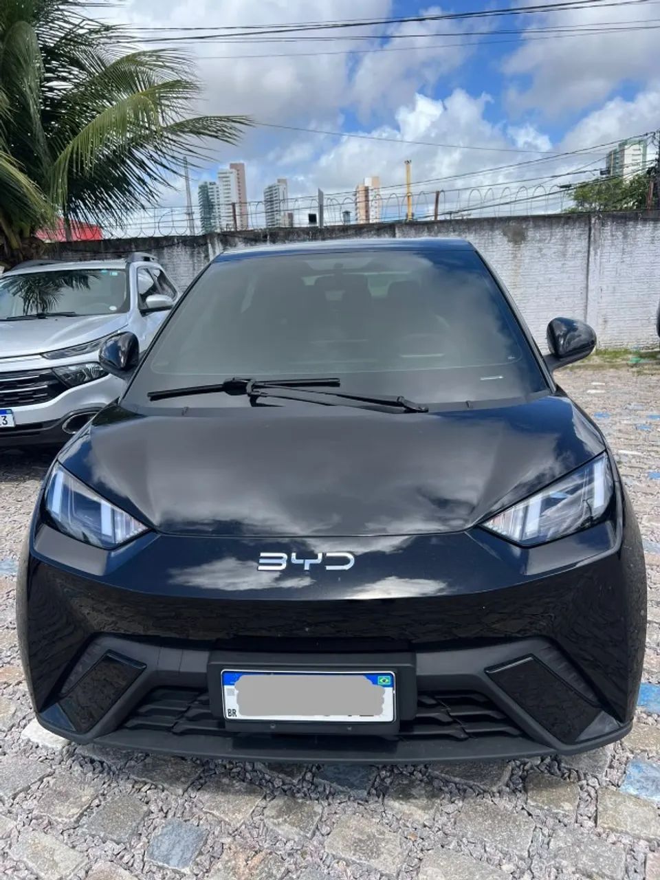 BYD Dolphin Dolphin Mini (Elétrico) 2025