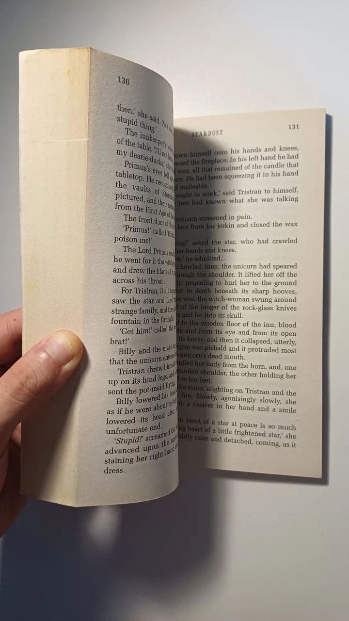 STARDUST NEIL GAIMAN - Foto 3