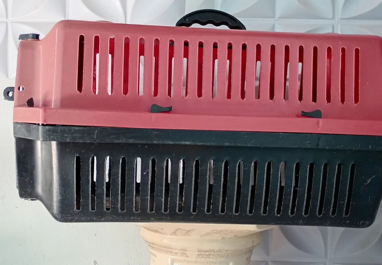 Casinha Transportadora para pets  - Foto 2