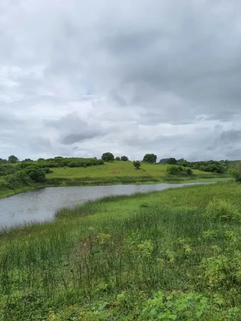 Fazenda com 30 hectares na região de Monte Alegre - Foto 3