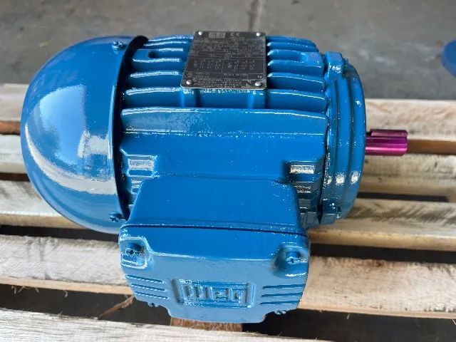 Motor elétrico Weg 