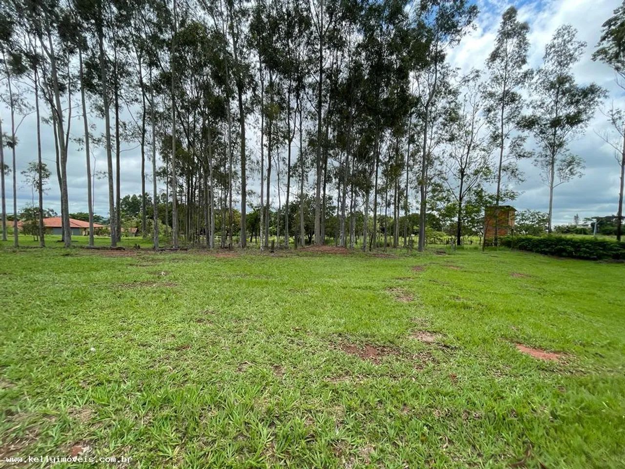 Chácara para Venda em Presidente Prudente / SP no bairro Área Rural - Foto 6