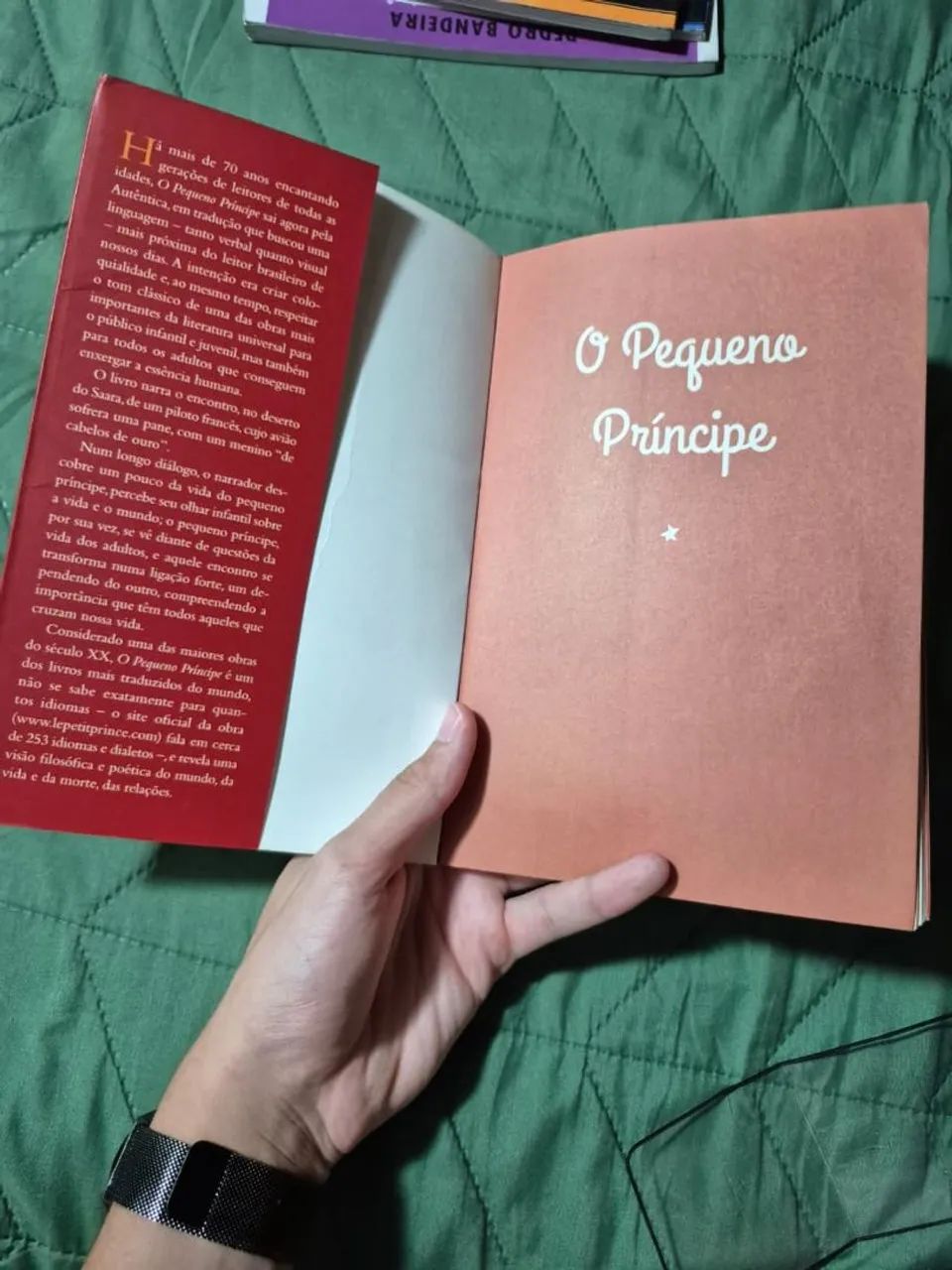 O Pequeno Príncipe  - Foto 2