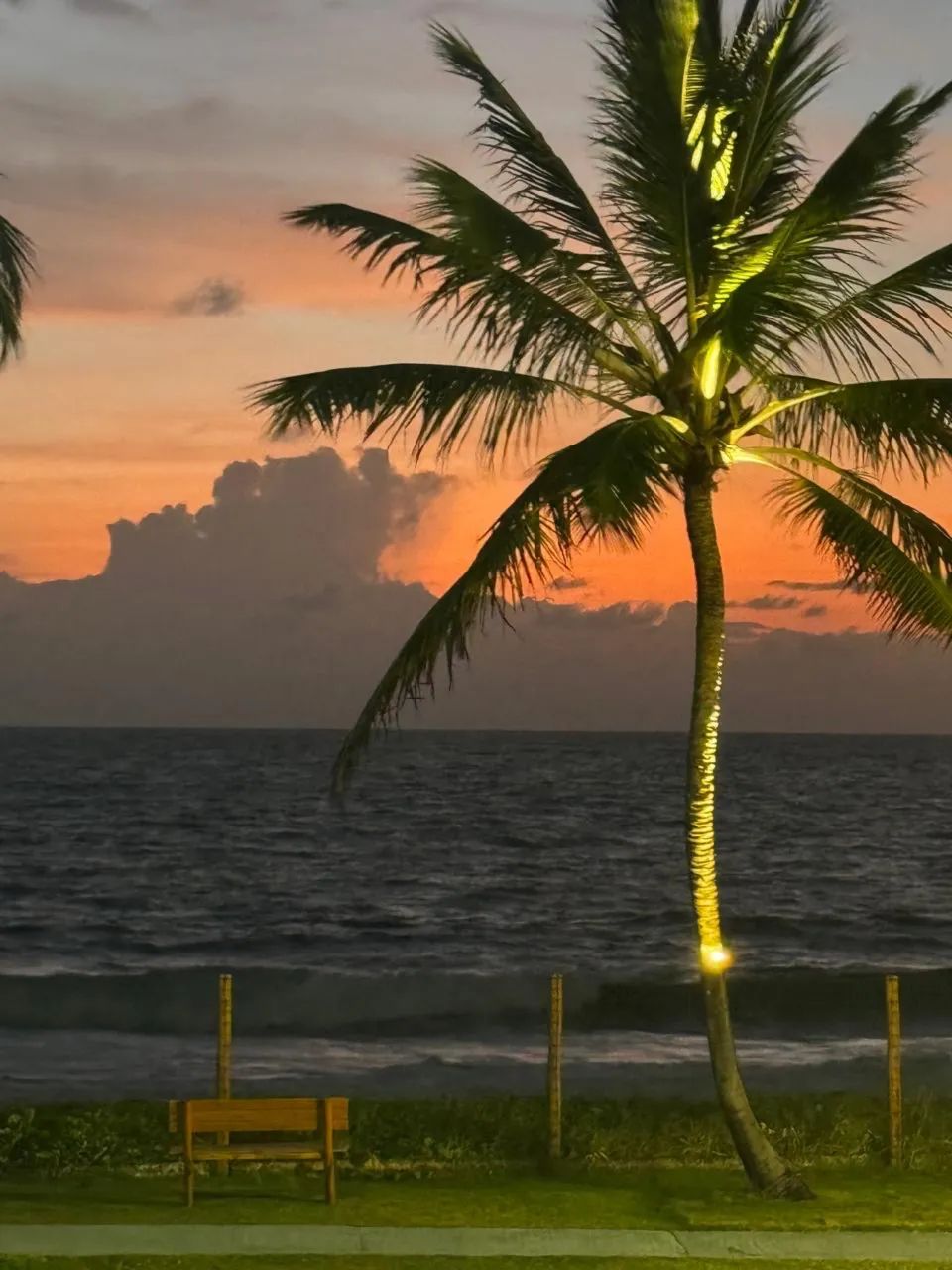 Vendo último terreno beira mar em muro alto - Foto 6