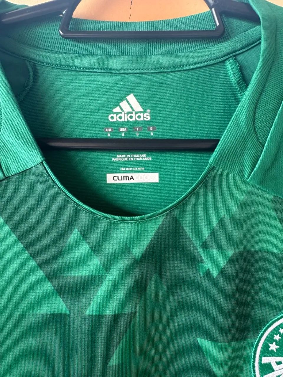 Palmeiras 2012 - Foto 2