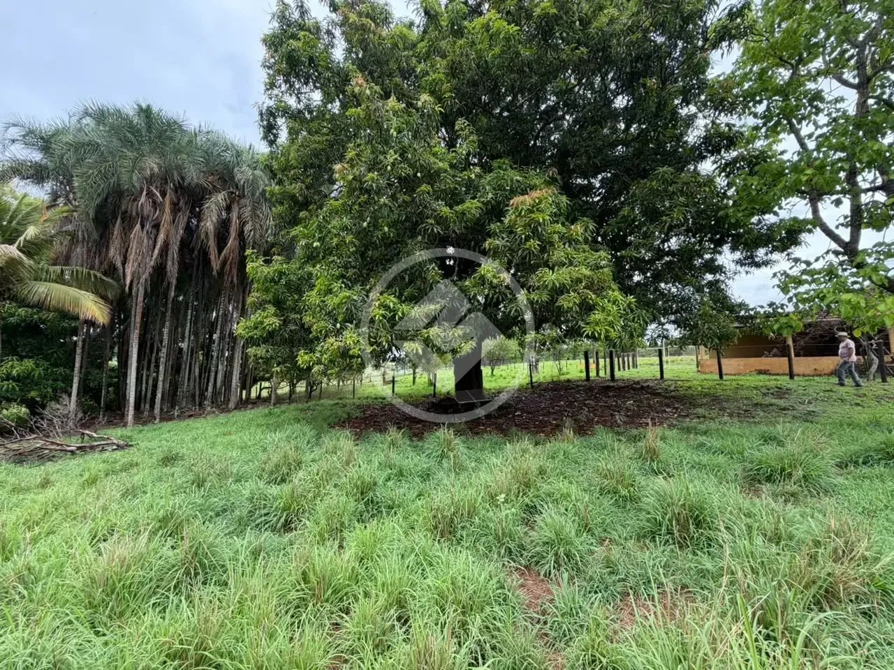 CHÁCARA EM BRAZABRANTES GO codigo: 384050 - Foto 5