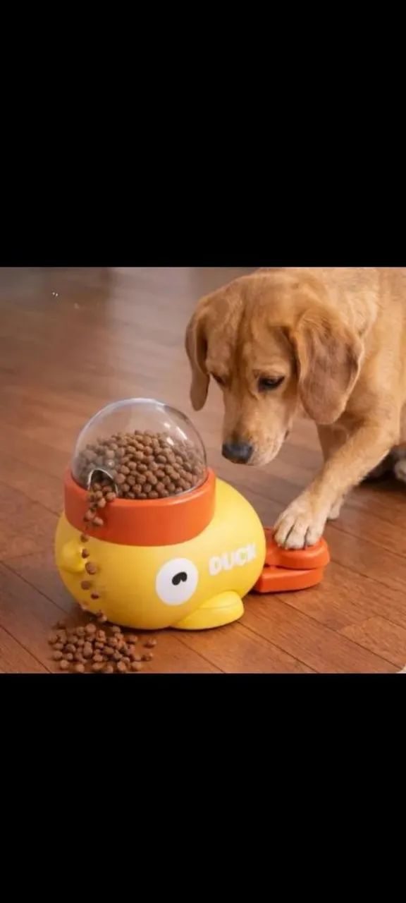 Alimentador de cães e brinquedo 