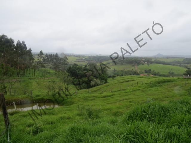 REF 1151 Chácara 40 mil metros, 6 suítes, linda vista, piscina, Imobiliária Paletó - Foto 8