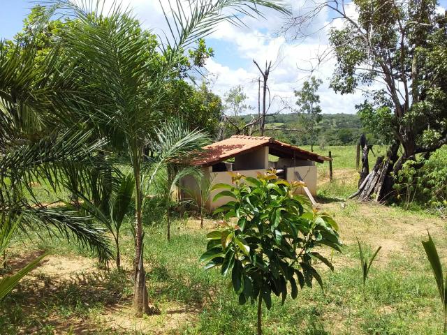 Vendo chácara no município de caldas novas - Foto 6