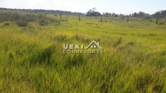 Área rural 14.000 ha. MT - Foto 3
