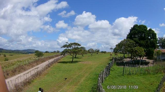 Vendo Fazenda na Cidade de Bonito - Pe com 72 hect. / represa do prata - Foto 7