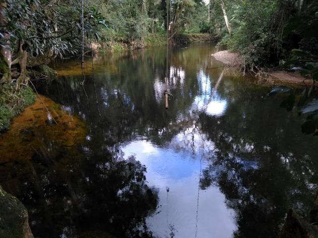 Chácara - América de Baixo - Morretes - Foto 2