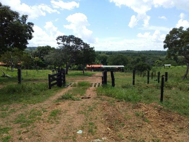 Vendo chácara no município de caldas novas - Foto 7
