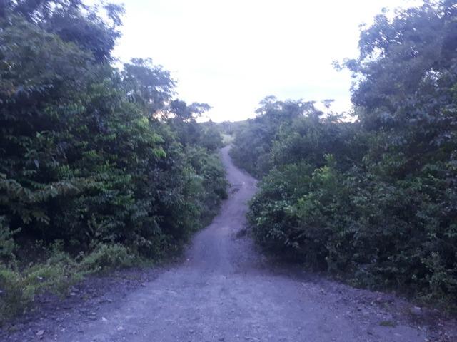 Sitio próximo do manso - Foto 15