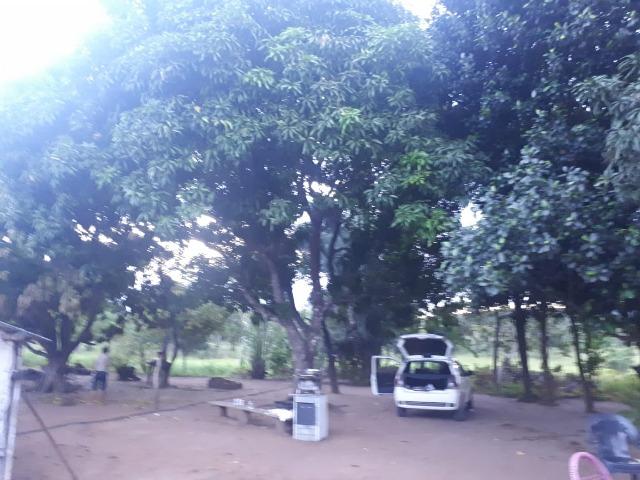Sitio próximo do manso - Foto 11