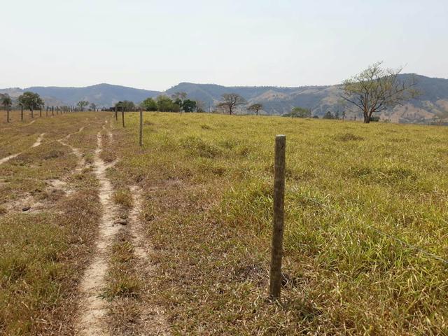 Sítio - Foto 9