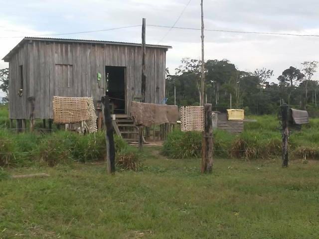 Vendesse um colônia estrada de porto acre ramal pira pora 28 km de ramal - Foto 4