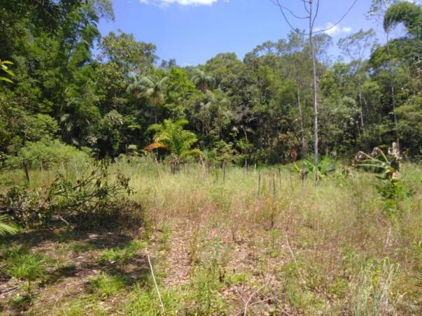 Chácara com 6.500m² - América de Cima - Morretes