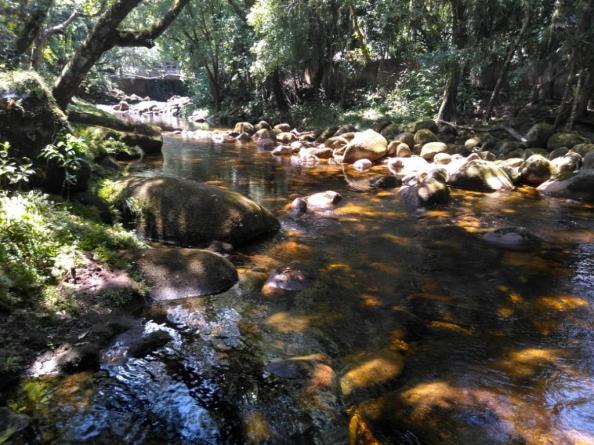 Chácara com 6.500m² - América de Cima - Morretes - Foto 7